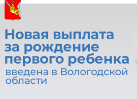 Жизненная ситуация «Рождение ребенка в Вологодской области» Жизненная ситуация «Рождение ребенка в Вологодской области».